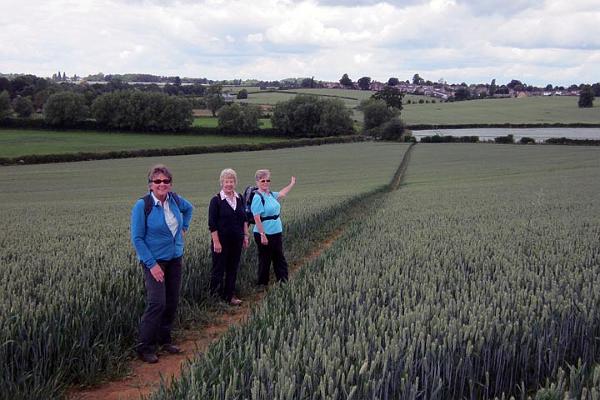 3. Clearly this is the way.JPG -                                